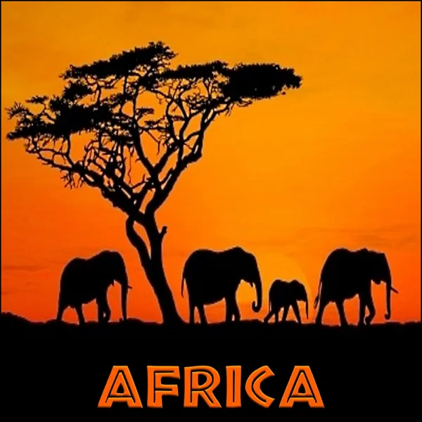 African Safari — Derek Fiechter
