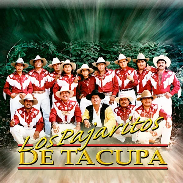 Amigo Mesero — Los Pajaritos de Tacupa