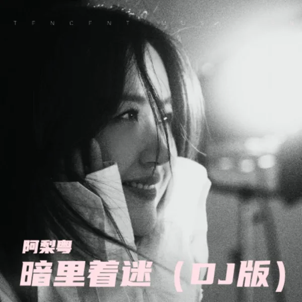 暗里着迷 (DJR7女声版) — A Li Yue