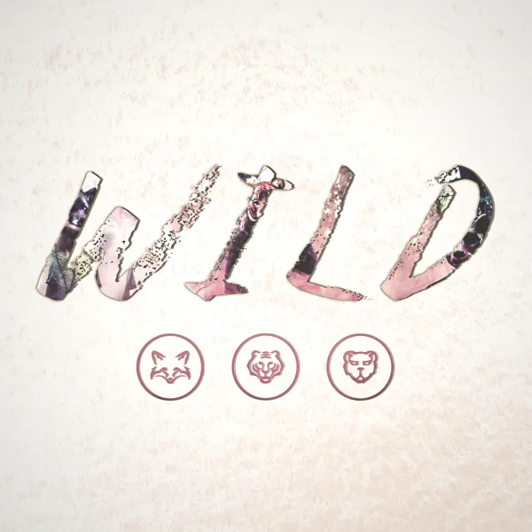 Back to You — WILD