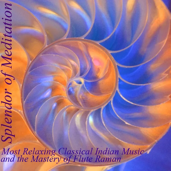 Hamsanandi (Splendor of Yoga) [feat. Vivek Sonar] — Splendor of Meditation