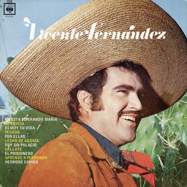 Hermoso Cariño — Vicente Fernández