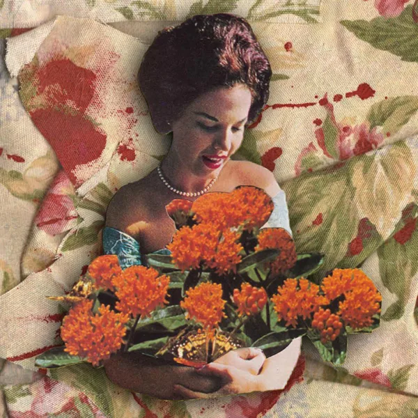 In Here — Sixteen Jackies