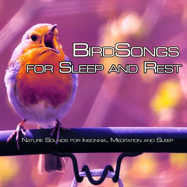 Morning Birdsong (with Nature Sounds) — Nature Sounds Academy & Spa Music Relaxation