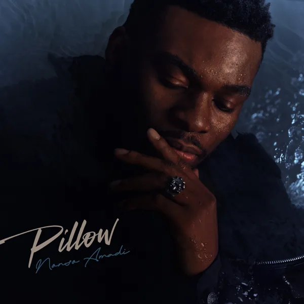 PILLOW — Nonso Amadi