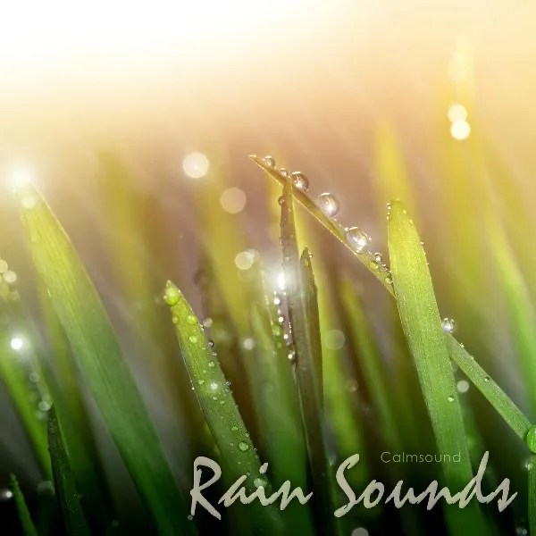 Rain Sounds — Calmsound