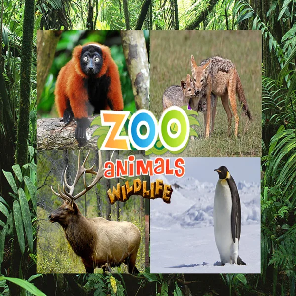 Scary Bear Growl — Animal Sound Effects Group