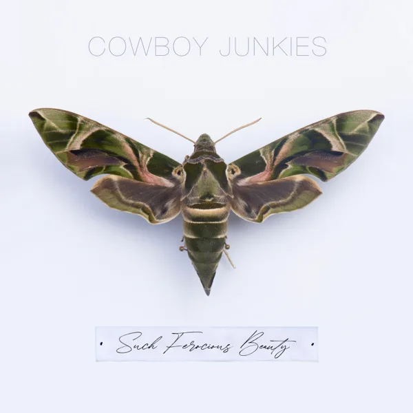 Shadows 2 — Cowboy Junkies