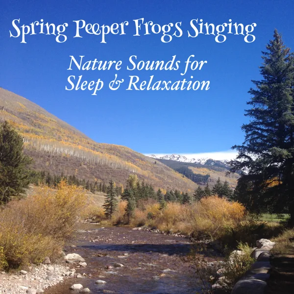 Spring Peeper Frogs Singing — Nature Sounds for Sleep and Relaxation