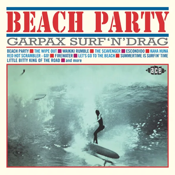 Summertime Is Surfin' Time — The Surf Bunnies