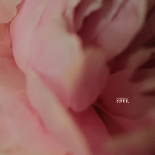 Cover art for Survive — Lewis Capaldi