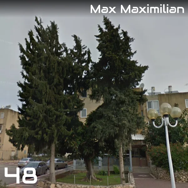 The King — Max Maximilian