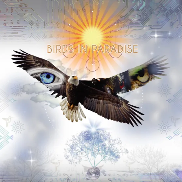 The River — Bird Tribe