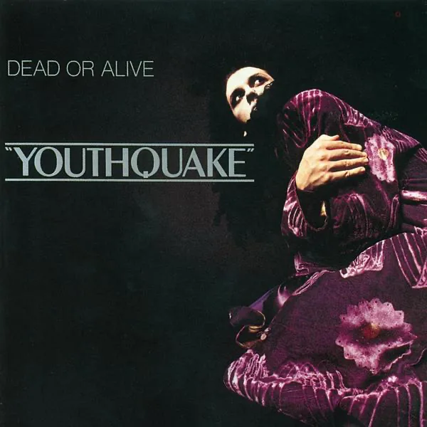 Cover art for You Spin Me 'Round (Like a Record) — Dead or Alive